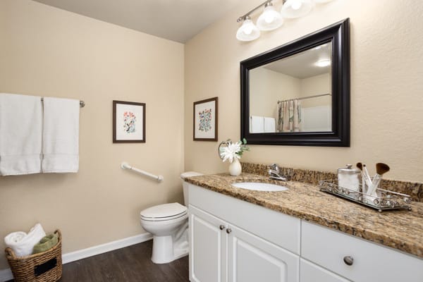 Well-decorated bathroom with granite countertop