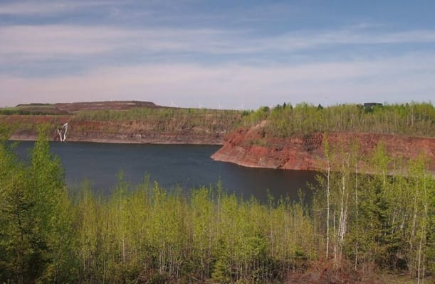 Diamond Willow Assisted Living