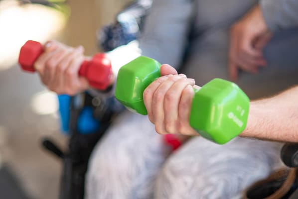 Hands holding dumbbells during exercise