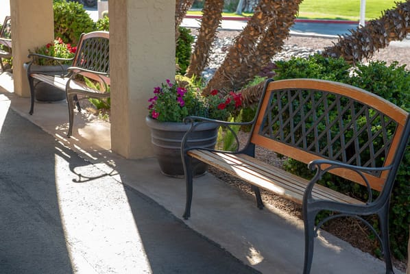 Outdoor seating area with flowers and benches