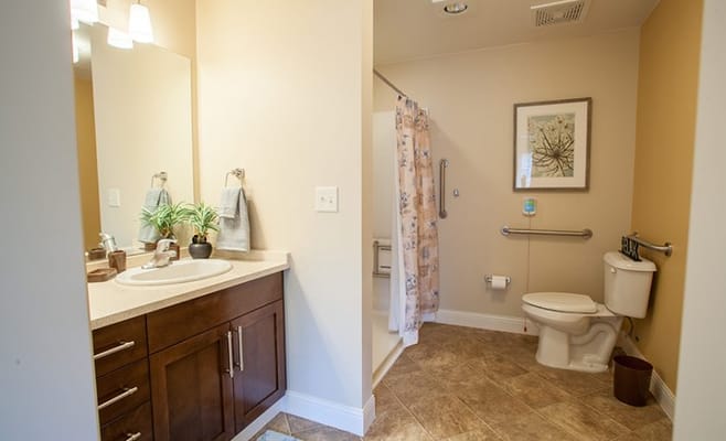 Bathroom interior with accessible features