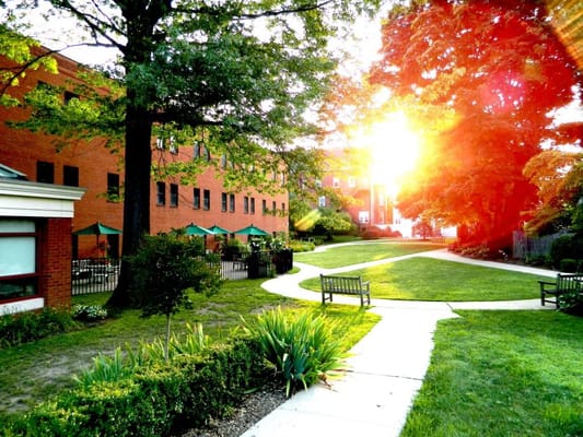 Outdoor space with benches and sunlight