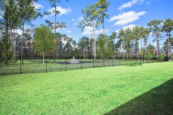 Green outdoor space with tall trees and a fence