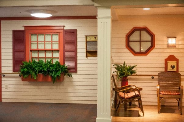 Decorative interior with window and plants