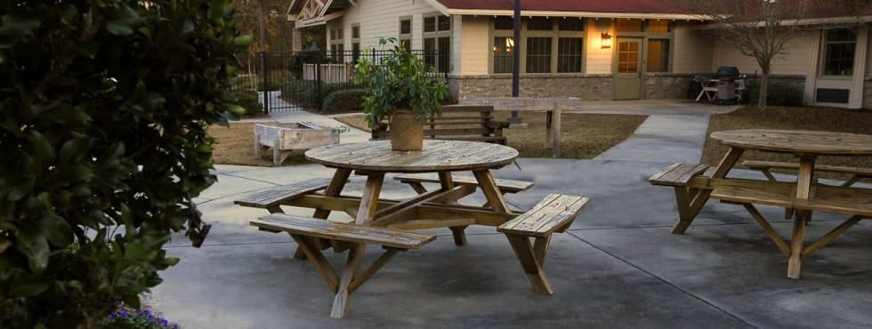Outdoor seating area with picnic tables and greenery