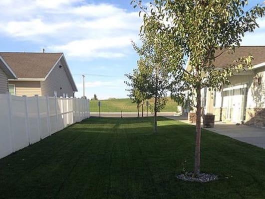 Lawn area with trees and a fence
