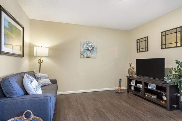 Cozy interior living area with couch and TV