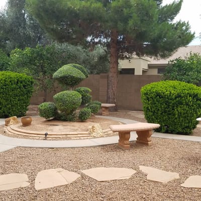 Well-maintained garden with trimmed bushes and pathways