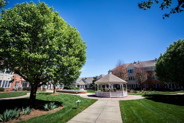 Sunny outdoor space with gazebo and trees
