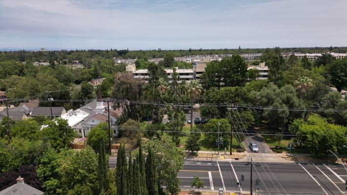 Aerial view of trees and nearby buildings