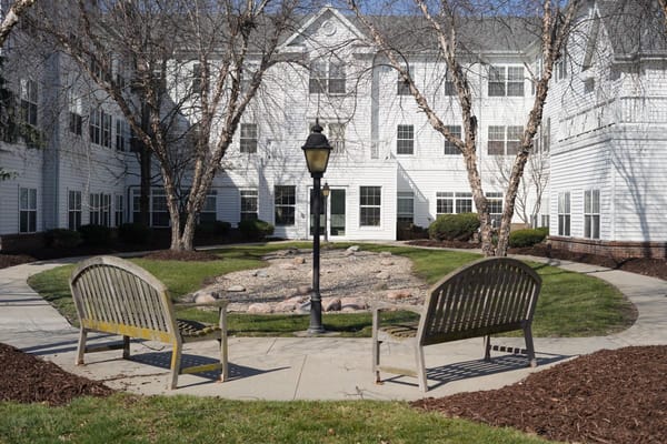 A serene outdoor courtyard with benches and pathways