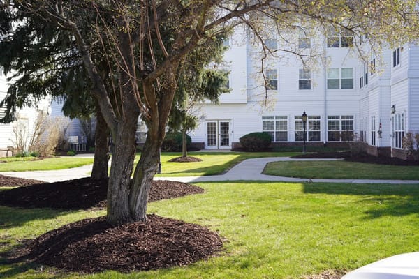 Well-maintained garden area with walking paths and trees