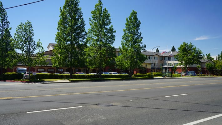 Exterior view of a senior living facility with trees