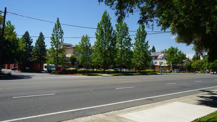 Exterior view of a senior living facility with trees