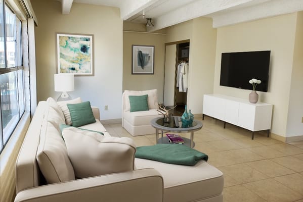 Bright interior of a cozy living room with a sofa