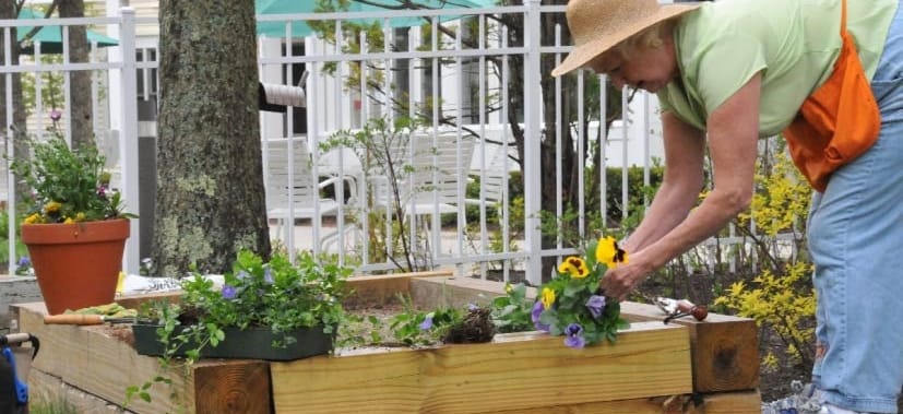 Resident gardening in an outdoor space with flowers