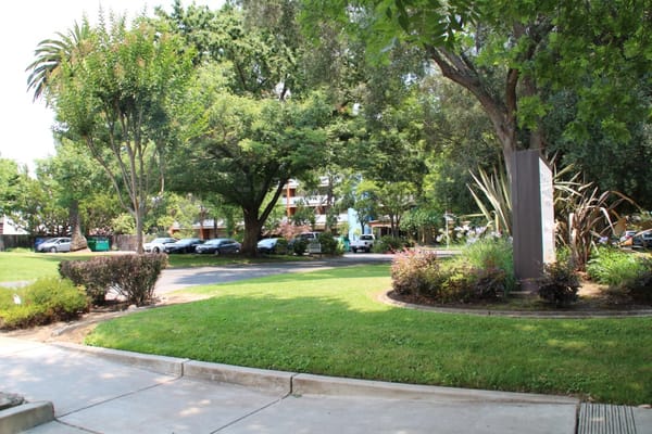 Lush garden area with walking path and trees