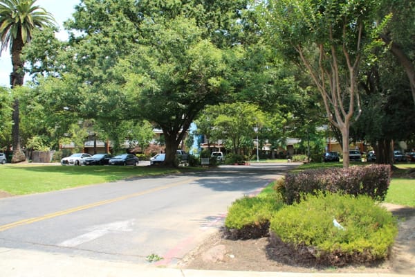 Pathway lined with trees leading to the facility