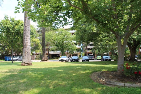Well-maintained outdoor space with cars parked