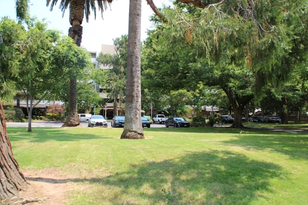 Outdoor space with trees and parked cars in the background