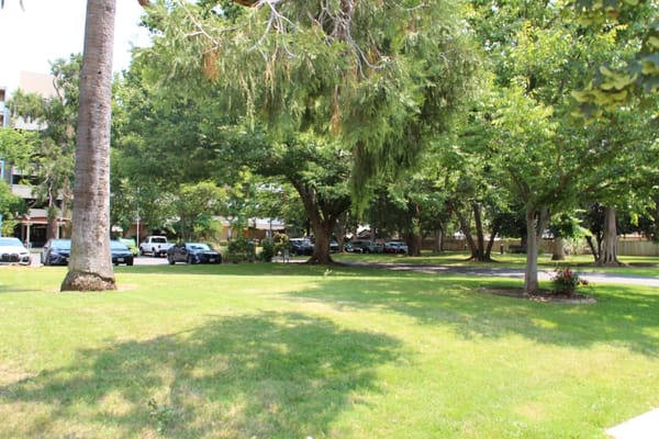 A lush green outdoor area with trees and grass