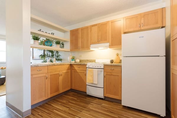 Bright kitchen with wooden cabinets and modern appliances