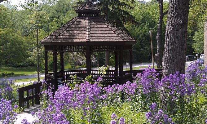 Wooden gazebo surrounded by purple flowers in a garden