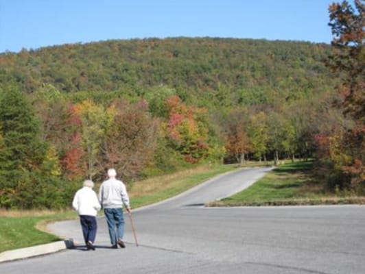 Two seniors walking along a tree-lined path