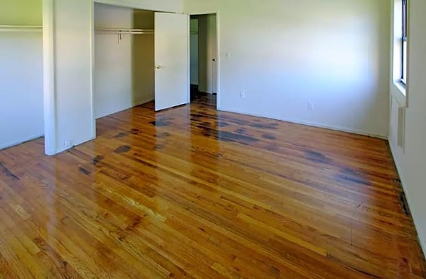 Empty room with hardwood floor and open closet space