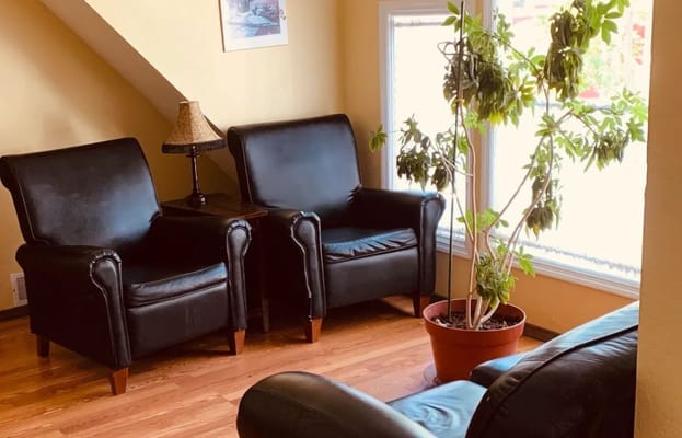 Two black armchairs and a potted plant in a bright living area