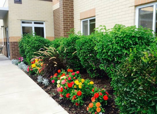 Vibrant flower beds in front of the facility