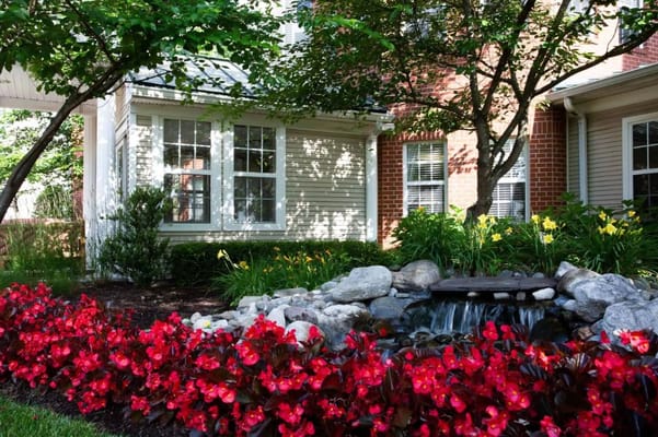 Beautiful outdoor garden with flowers and a small water feature