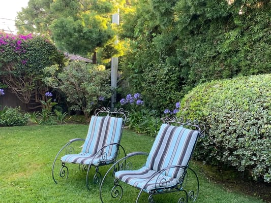 Chairs in a serene garden setting