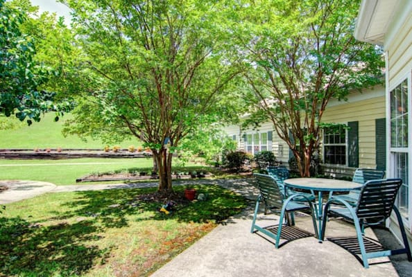Patio seating area surrounded by trees