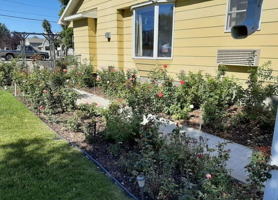 Flower garden with pathways outside the facility
