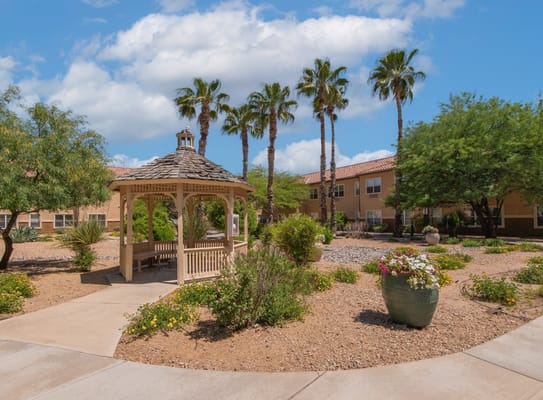 Wooden gazebo surrounded by desert garden and palm trees