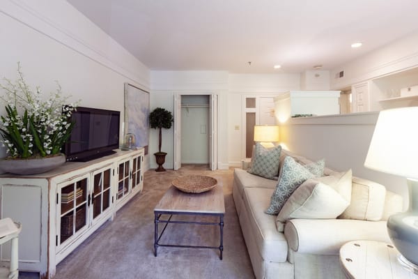 Cozy living room with a sofa, television, and decorative plants