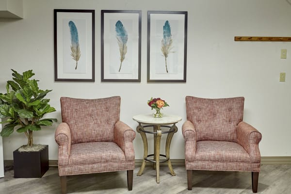 Cozy lounge area with armchairs and decor