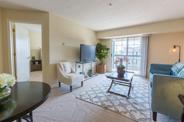 Bright living room with a view, featuring a sofa and TV.