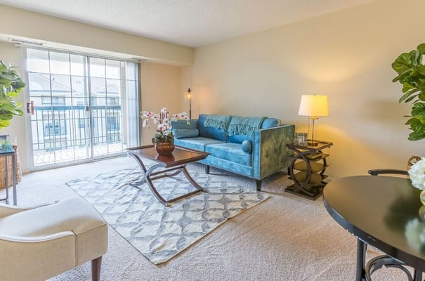 Bright living room with a teal couch and plants
