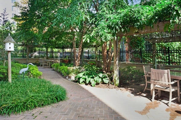 Beautiful garden path with seating and greenery