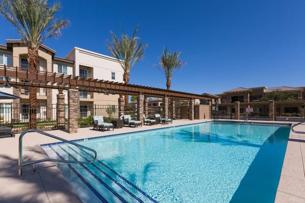 Swimming pool with lounge chairs and palm trees at The Enclave at Chandler