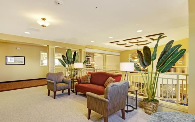 Cozy lounge area with chairs and plants