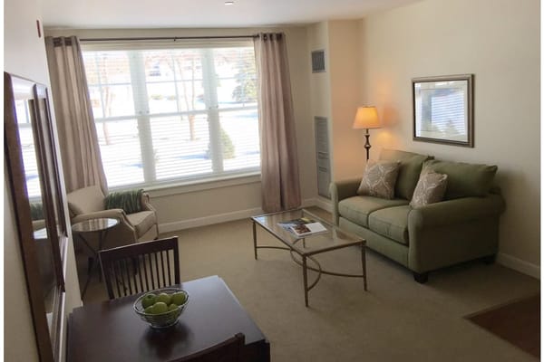 Comfortable living room with a green sofa and natural light.