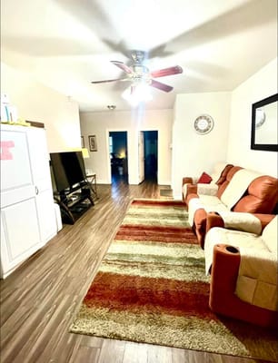 Bright living room with brown couch and area rug