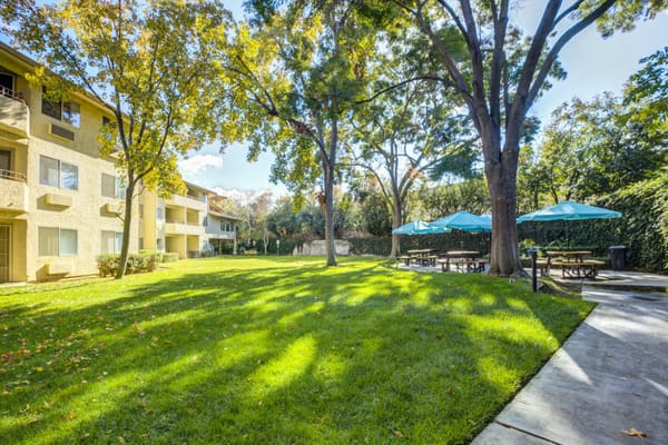 Spacious outdoor area with green lawn, trees, and picnic tables under umbrellas.