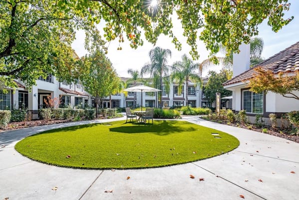 Well-maintained outdoor garden with seating area