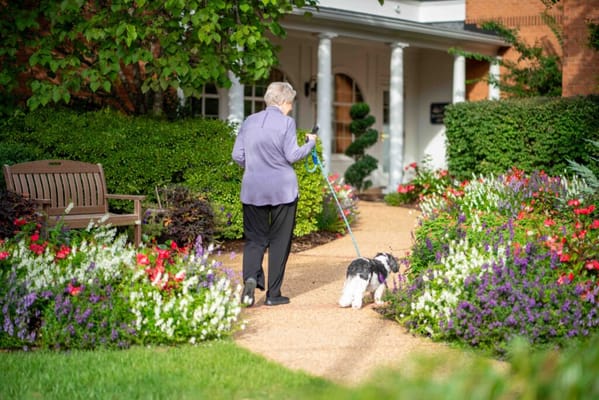Resident walking a dog in a landscaped garden