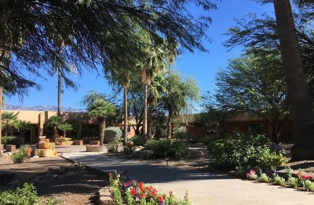 View of a garden pathway surrounded by palm trees and flowers at Woodland Palms Memory Care Community.