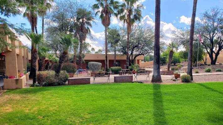 Lush green lawn with palm trees and seating areas in an outdoor garden